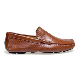 AITS - 0011 Brown Borchiato
